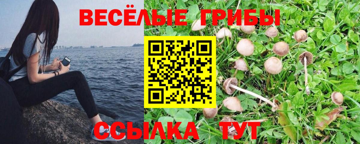 Галлюциногенные грибы мицелий  что такое   Барабинск  Вход с VPN 
